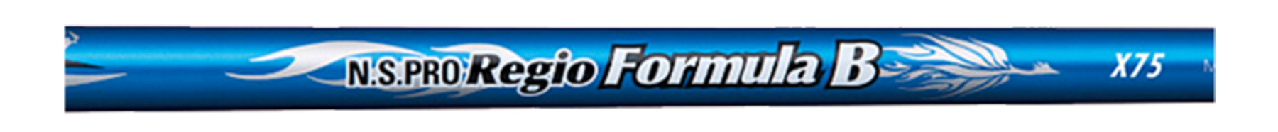 N.S.PRO Regio Formula B TYPE75 製品画像